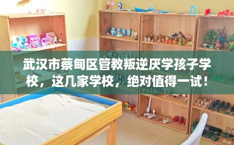 武汉市蔡甸区管教叛逆厌学孩子学校，这几家学校，绝对值得一试！