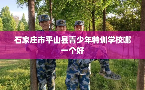 石家庄市平山县青少年特训学校哪一个好