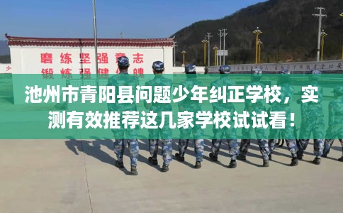 池州市青阳县问题少年纠正学校，实测有效推荐这几家学校试试看！