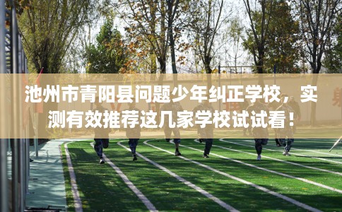 池州市青阳县问题少年纠正学校，实测有效推荐这几家学校试试看！