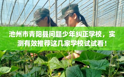 池州市青阳县问题少年纠正学校，实测有效推荐这几家学校试试看！