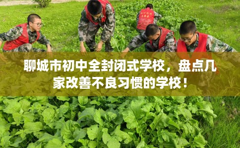 聊城市初中全封闭式学校，盘点几家改善不良习惯的学校！