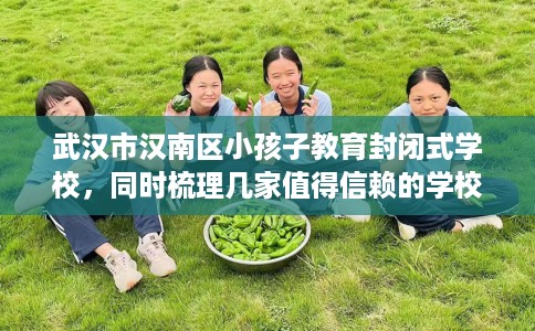 武汉市汉南区小孩子教育封闭式学校,同时梳理几家值得信赖的学校! 武汉市汉南区小孩子教育封闭式学校,同时梳理几家值得信赖的学校!