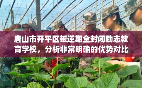 唐山市开平区叛逆期全封闭励志教育学校，分析非常明确的优势对比！
