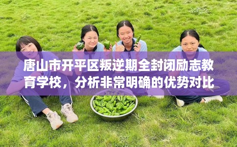 唐山市开平区叛逆期全封闭励志教育学校，分析非常明确的优势对比！