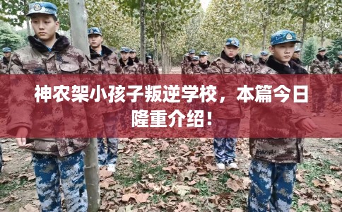 神农架小孩子叛逆学校,本篇今日隆重介绍! 神农架小孩子叛逆学校,本篇今日隆重介绍!