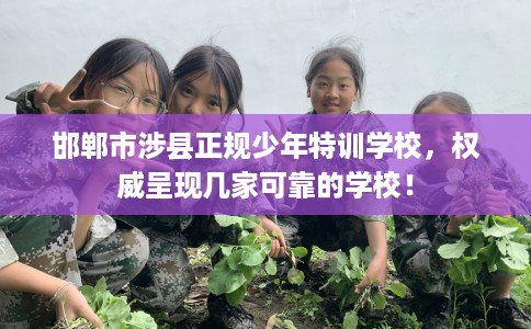 邯郸市涉县正规少年特训学校,权威呈现几家可靠的学校! 邯郸市涉县正规少年特训学校,权威呈现几家可靠的学校!