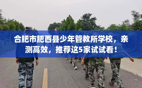 合肥市肥西县少年管教所学校，亲测高效，推荐这5家试试看！