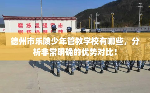 德州市乐陵少年管教学校有哪些，分析非常明确的优势对比！