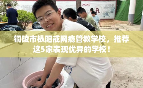 铜陵市枞阳戒网瘾管教学校,推荐这5家表现优异的学校! 铜陵市枞阳戒网瘾管教学校,推荐这5家表现优异的学校!