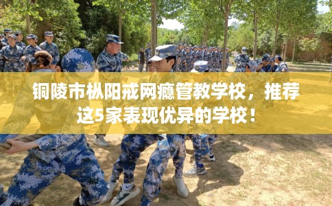 铜陵市枞阳戒网瘾管教学校,推荐这5家表现优异的学校! 铜陵市枞阳戒网瘾管教学校,推荐这5家表现优异的学校!