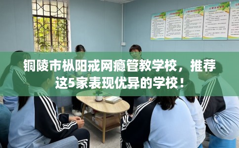铜陵市枞阳戒网瘾管教学校,推荐这5家表现优异的学校! 铜陵市枞阳戒网瘾管教学校,推荐这5家表现优异的学校!