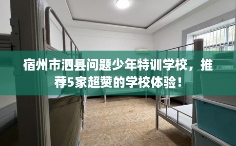 宿州市泗县问题少年特训学校,推荐5家超赞的学校体验! 宿州市泗县问题少年特训学校,推荐5家超赞的学校体验!