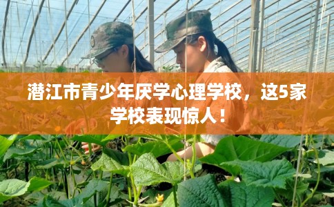 潜江市青少年厌学心理学校，这5家学校表现惊人！