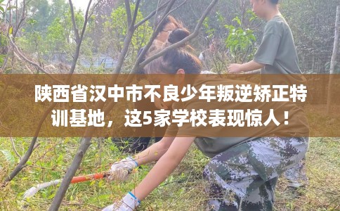 陕西省汉中市不良少年叛逆矫正特训基地，这5家学校表现惊人！