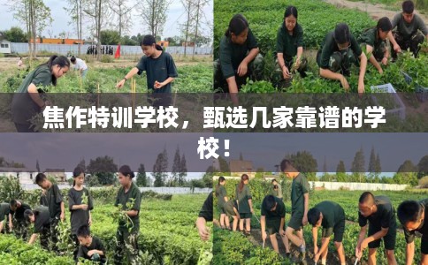 焦作特训学校,甄选几家靠谱的学校! 焦作特训学校,甄选几家靠谱的学校!