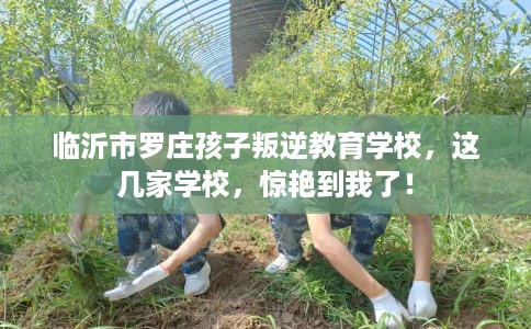 临沂市罗庄孩子叛逆教育学校，这几家学校，惊艳到我了！