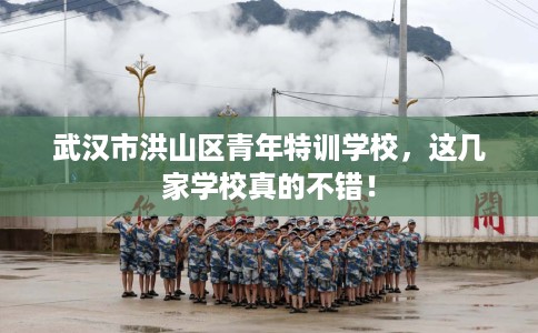 武汉市洪山区青年特训学校,这几家学校真的不错! 武汉市洪山区青年特训学校,这几家学校真的不错!