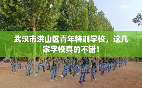 武汉市洪山区青年特训学校,这几家学校真的不错! 武汉市洪山区青年特训学校,这几家学校真的不错!