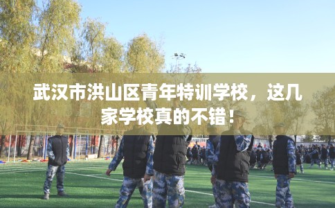 武汉市洪山区青年特训学校,这几家学校真的不错! 武汉市洪山区青年特训学校,这几家学校真的不错!