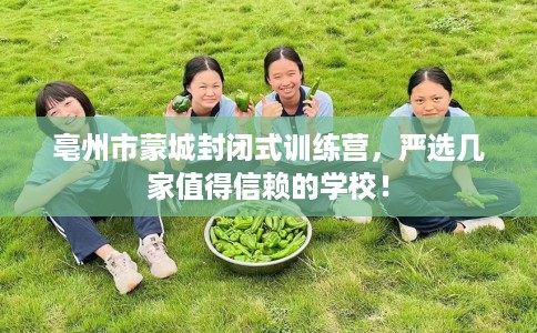 亳州市蒙城封闭式训练营,严选几家值得信赖的学校! 亳州市蒙城封闭式训练营,严选几家值得信赖的学校!