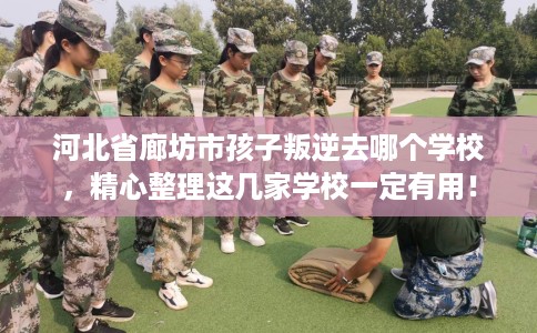 河北省廊坊市孩子叛逆去哪个学校,精心整理这几家学校一定有用! 河北省廊坊市孩子叛逆去哪个学校,精心整理这几家学校一定有用!
