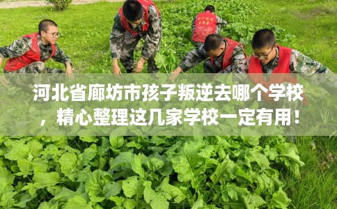河北省廊坊市孩子叛逆去哪个学校,精心整理这几家学校一定有用! 河北省廊坊市孩子叛逆去哪个学校,精心整理这几家学校一定有用!