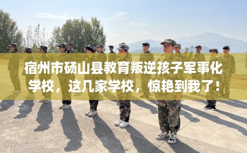 宿州市砀山县教育叛逆孩子军事化学校,这几家学校,惊艳到我了! 宿州市砀山县教育叛逆孩子军事化学校,这几家学校,惊艳到我了!