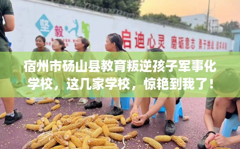 宿州市砀山县教育叛逆孩子军事化学校,这几家学校,惊艳到我了! 宿州市砀山县教育叛逆孩子军事化学校,这几家学校,惊艳到我了!
