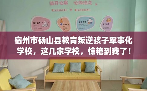 宿州市砀山县教育叛逆孩子军事化学校,这几家学校,惊艳到我了! 宿州市砀山县教育叛逆孩子军事化学校,这几家学校,惊艳到我了!