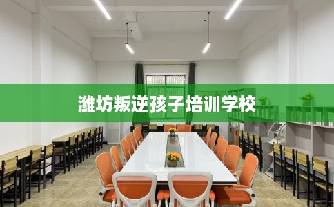 潍坊叛逆孩子培训学校 潍坊叛逆孩子培训学校