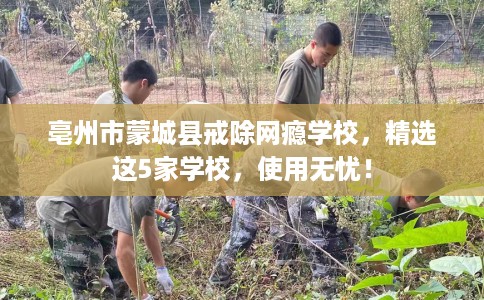 亳州市蒙城县戒除网瘾学校，精选这5家学校，使用无忧！