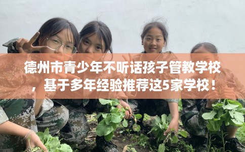 德州市青少年不听话孩子管教学校,基于多年经验推荐这5家学校! 德州市青少年不听话孩子管教学校,基于多年经验推荐这5家学校!
