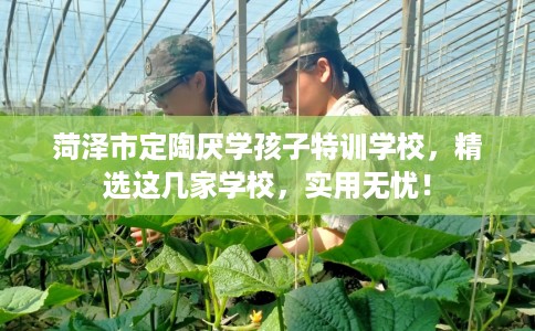菏泽市定陶厌学孩子特训学校,精选这几家学校,实用无忧! 菏泽市定陶厌学孩子特训学校,精选这几家学校,实用无忧!
