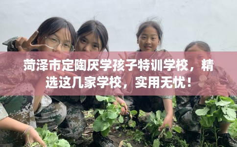 菏泽市定陶厌学孩子特训学校,精选这几家学校,实用无忧! 菏泽市定陶厌学孩子特训学校,精选这几家学校,实用无忧!