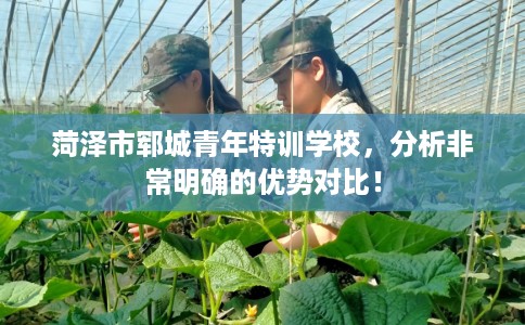 菏泽市郓城青年特训学校，分析非常明确的优势对比！