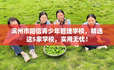 滨州市阳信青少年管理学校，精选这5家学校，实用无忧！