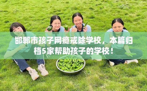 邯郸市孩子网瘾戒除学校，本篇归档5家帮助孩子的学校！