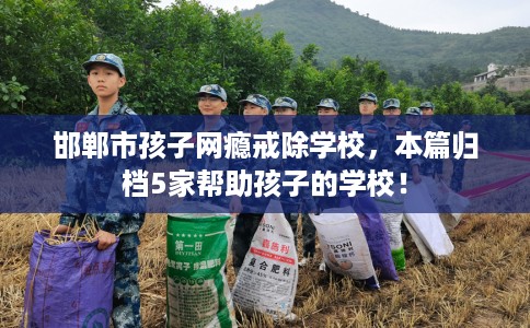 邯郸市孩子网瘾戒除学校，本篇归档5家帮助孩子的学校！