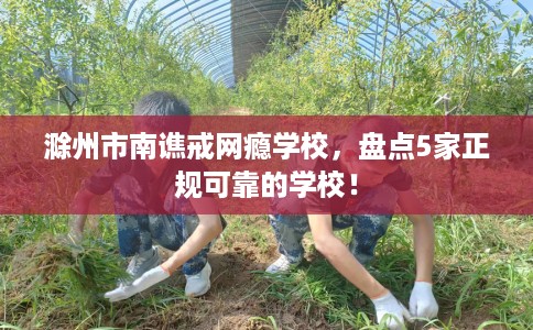 滁州市南谯戒网瘾学校，盘点5家正规可靠的学校！