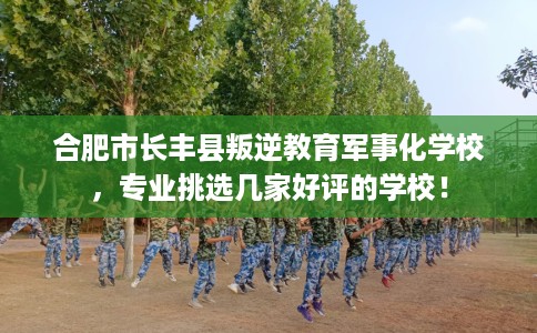 合肥市长丰县叛逆教育军事化学校,专业挑选几家好评的学校! 合肥市长丰县叛逆教育军事化学校,专业挑选几家好评的学校!