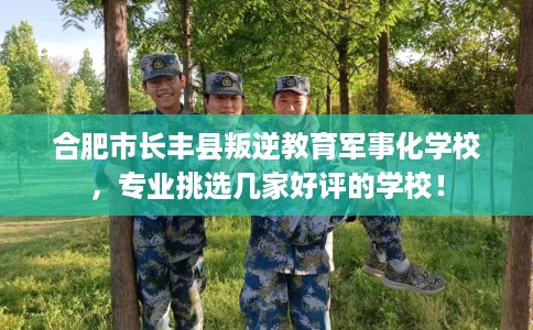 合肥市长丰县叛逆教育军事化学校,专业挑选几家好评的学校! 合肥市长丰县叛逆教育军事化学校,专业挑选几家好评的学校!