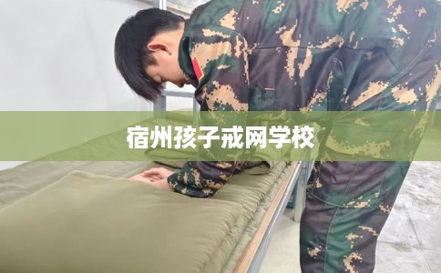 宿州孩子戒网学校 宿州孩子戒网学校