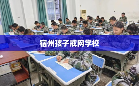 宿州孩子戒网学校 宿州孩子戒网学校