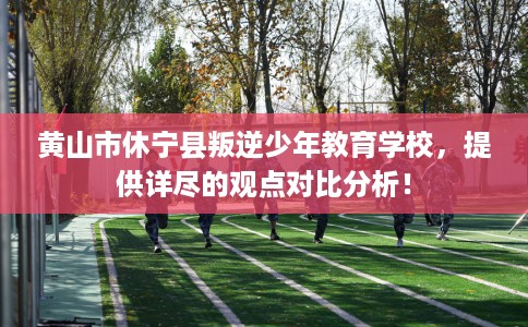 黄山市休宁县叛逆少年教育学校，提供详尽的观点对比分析！
