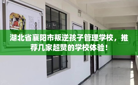 湖北省襄阳市叛逆孩子管理学校，推荐几家超赞的学校体验！