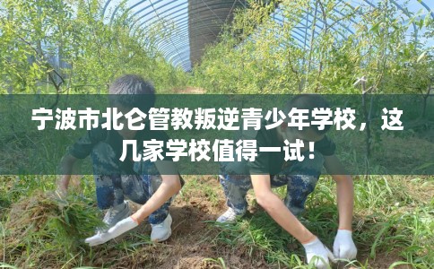 宁波市北仑管教叛逆青少年学校,这几家学校值得一试! 宁波市北仑管教叛逆青少年学校,这几家学校值得一试!