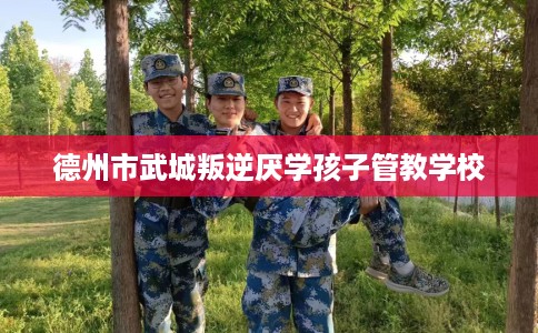 德州市武城叛逆厌学孩子管教学校 德州市武城叛逆厌学孩子管教学校