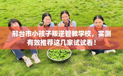 邢台市小孩子叛逆管教学校,实测有效推荐这几家试试看! 邢台市小孩子叛逆管教学校,实测有效推荐这几家试试看!