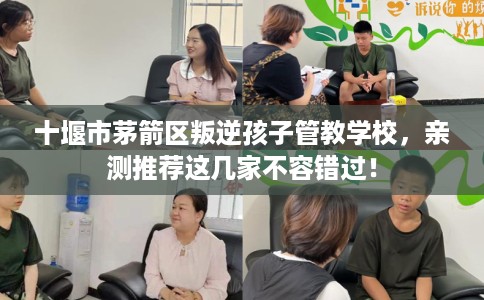 十堰市茅箭区叛逆孩子管教学校,亲测推荐这几家不容错过! 十堰市茅箭区叛逆孩子管教学校,亲测推荐这几家不容错过!